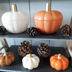 citrouille d'automne